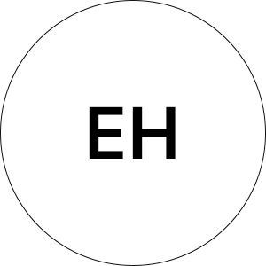 Eliza H Boigues